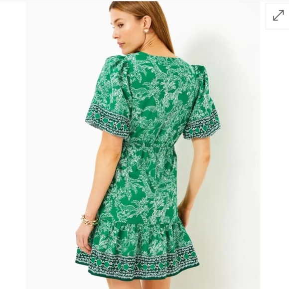 Lilly Pulitzer Kentlee Puff Sleeve Cotton Dress In Fiddle Leaf Safari Size 6 - Picture 13 of 13